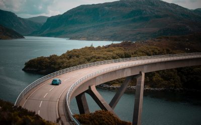 The Return of the Road Trip